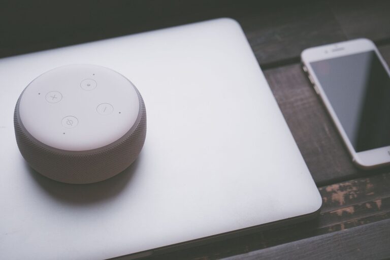 A Practical Guide to Using Voice Assistants at Home